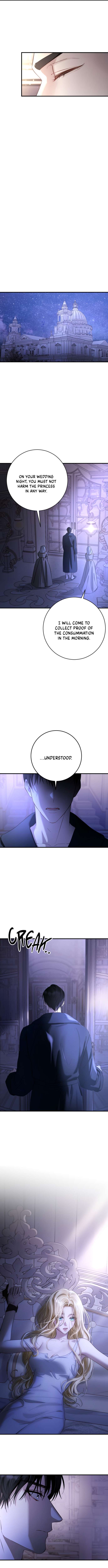 Chapter 1 - Image 37