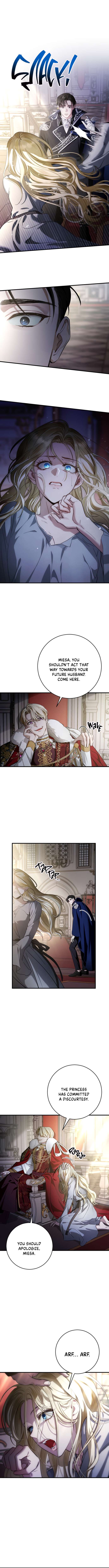 Chapter 1 - Image 7