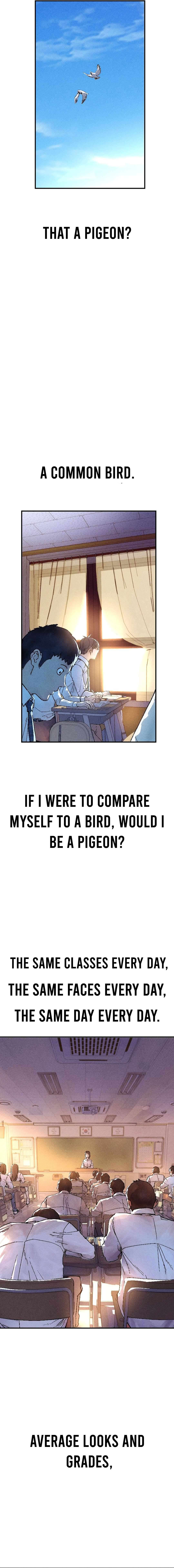 Chapter 1 - Image 14