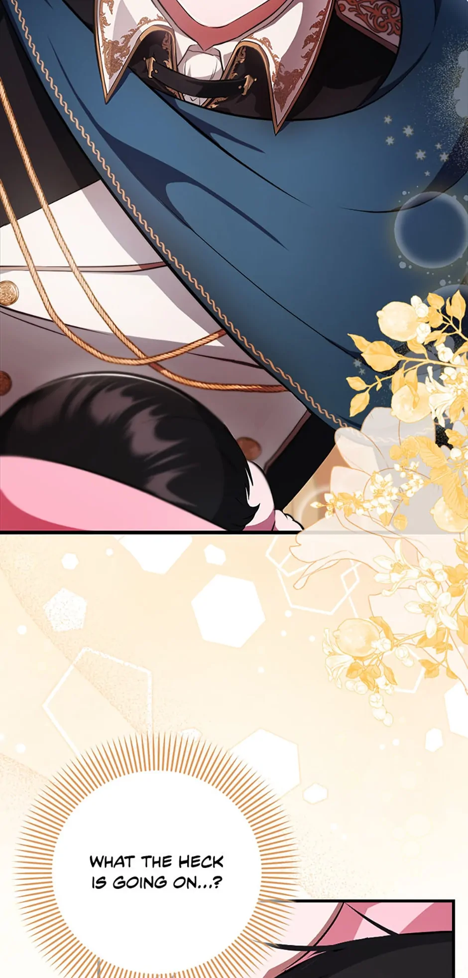 Chapter 2 - Image 15