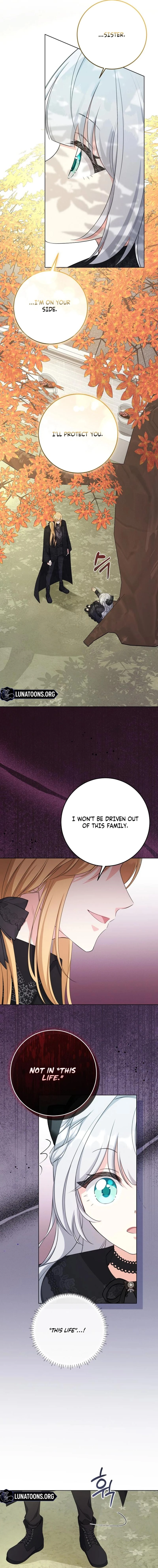 Chapter 3 - Image 13