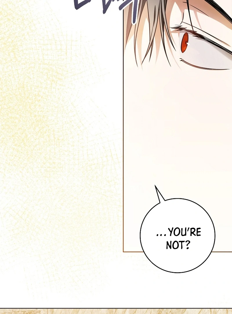 Chapter 3 - Image 15