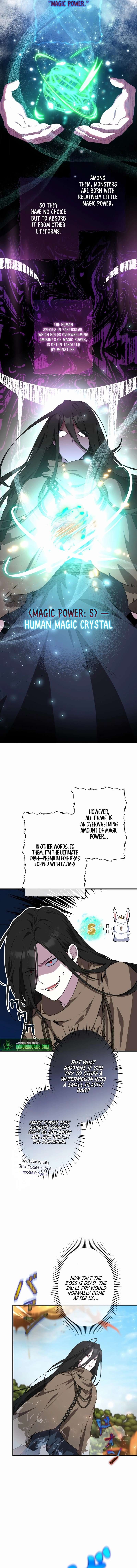 Chapter 5 - Image 5