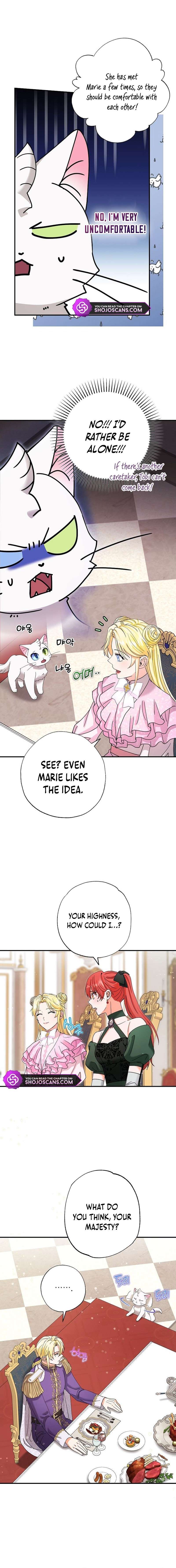 Chapter 10 - Image 4