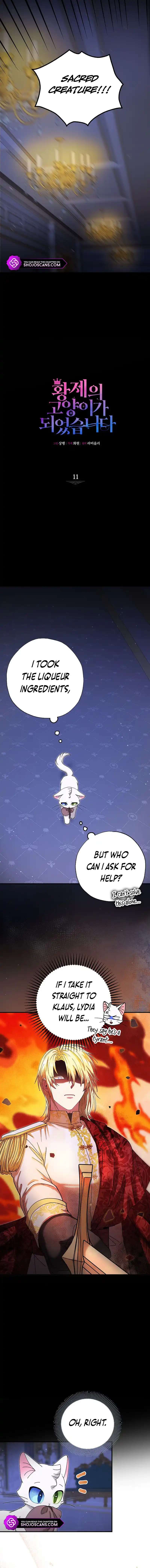 Chapter 11 - Image 6