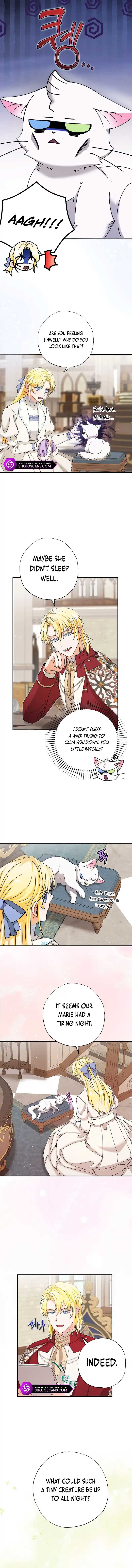 Chapter 12 - Image 4
