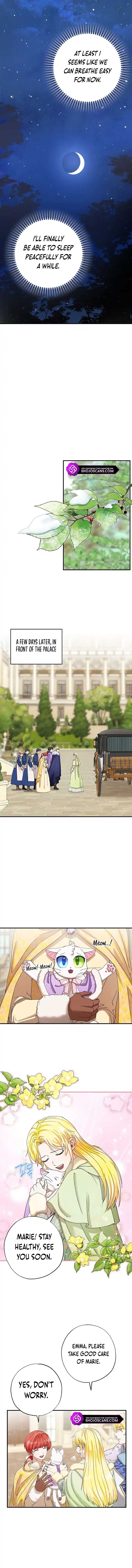 Chapter 12 - Image 8