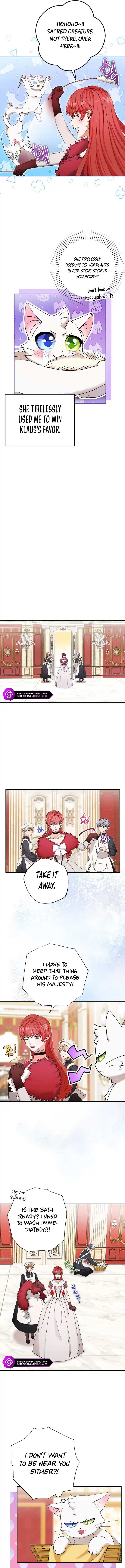 Chapter 13 - Image 5