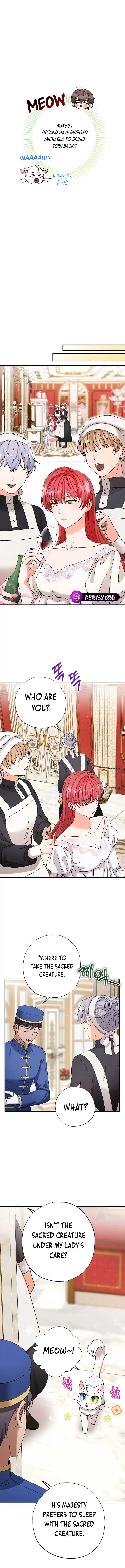 Chapter 13 - Image 6