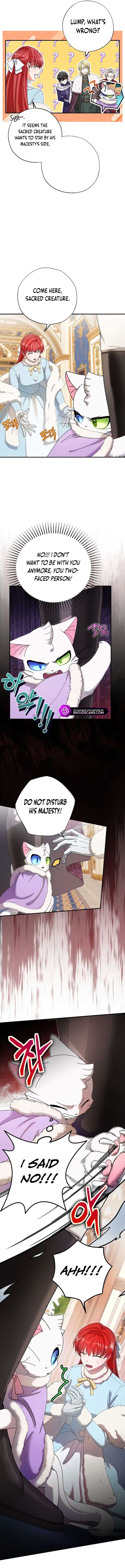 Chapter 14 - Image 5