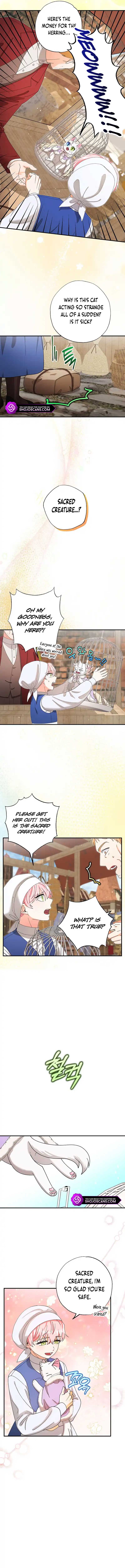 Chapter 15 - Image 10