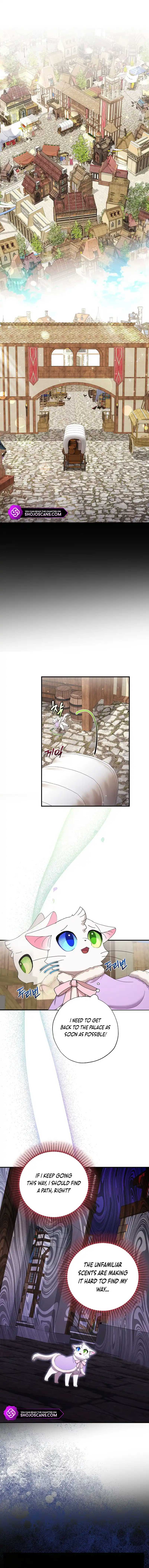 Chapter 15 - Image 2