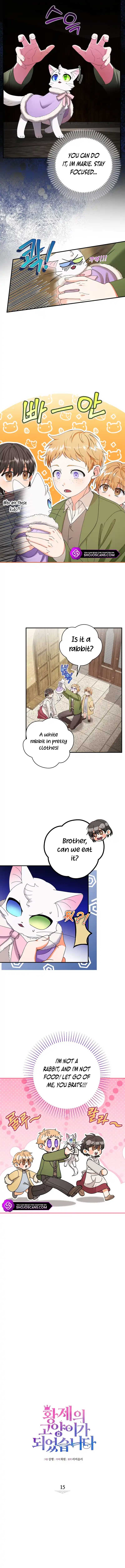 Chapter 15 - Image 3