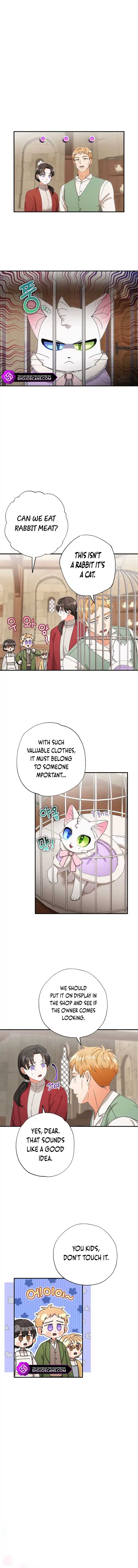 Chapter 15 - Image 4
