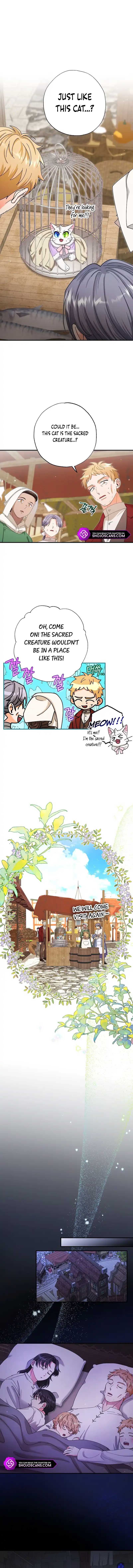 Chapter 15 - Image 6