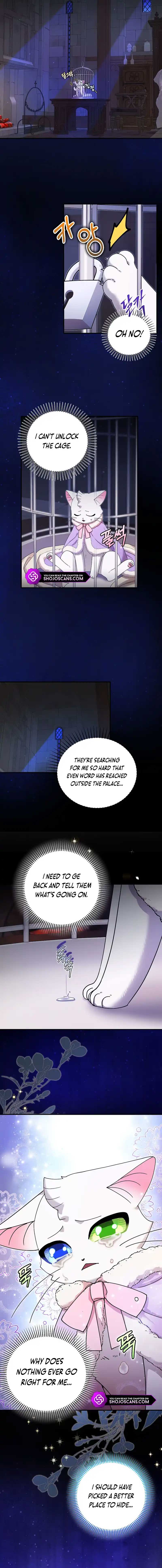 Chapter 15 - Image 7