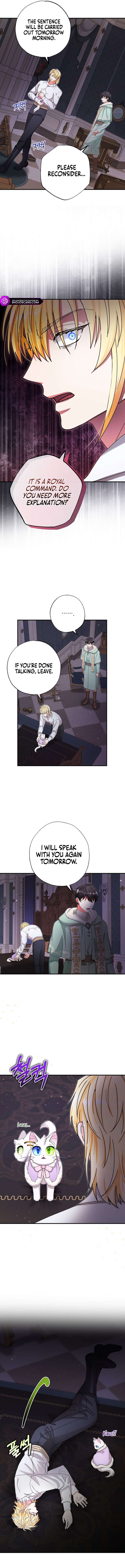Chapter 16 - Image 6