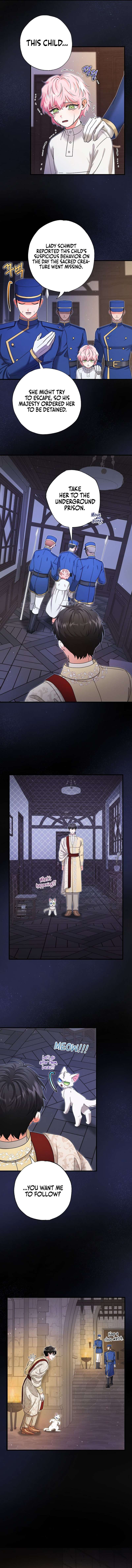 Chapter 17 - Image 11