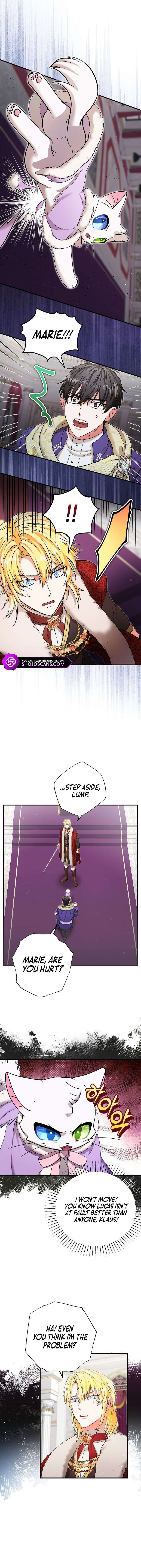 Chapter 17 - Image 3
