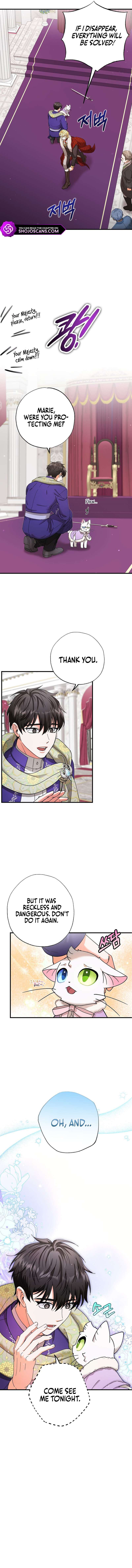 Chapter 17 - Image 4