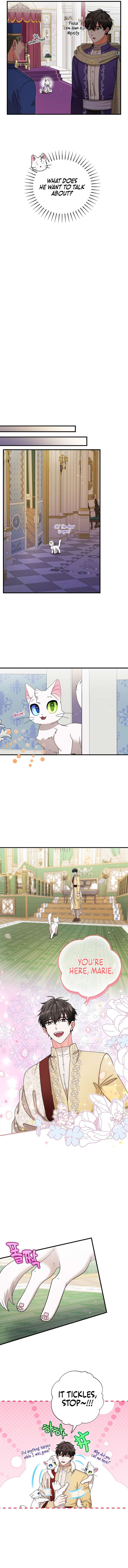 Chapter 17 - Image 5