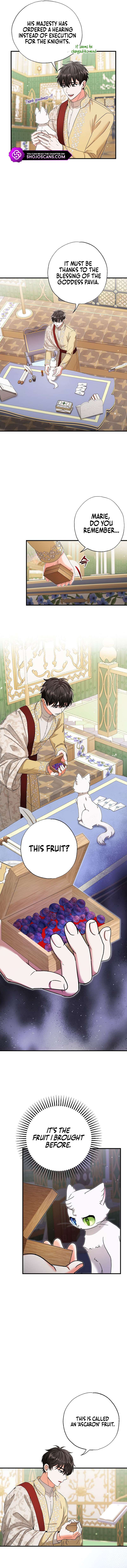 Chapter 17 - Image 6