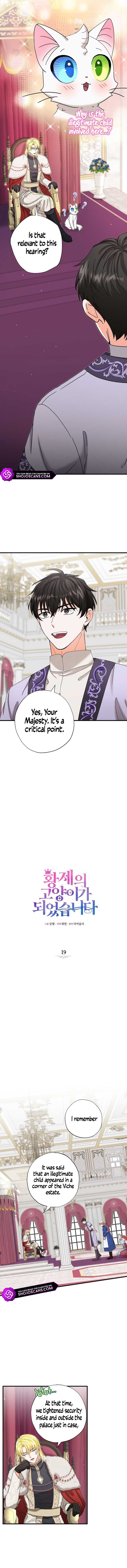 Chapter 19 - Image 2