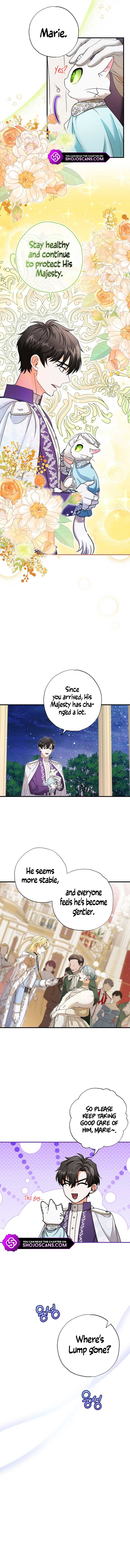 Chapter 20 - Image 10
