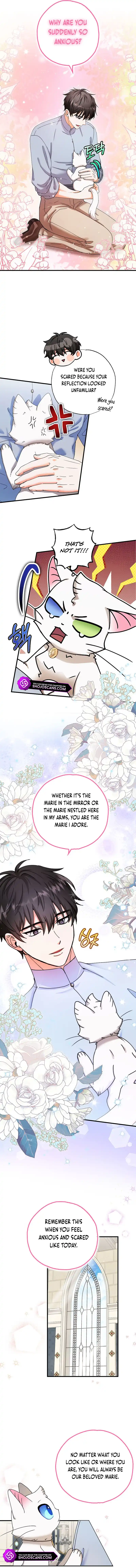 Chapter 22 - Image 9