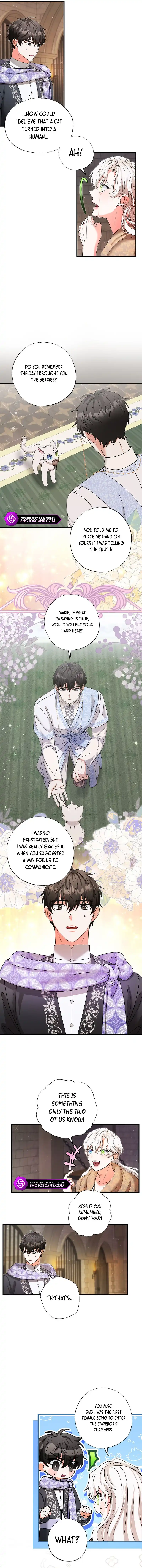 Chapter 24 - Image 10