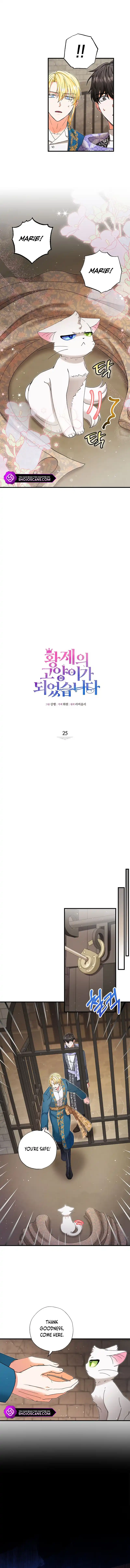 Chapter 25 - Image 3