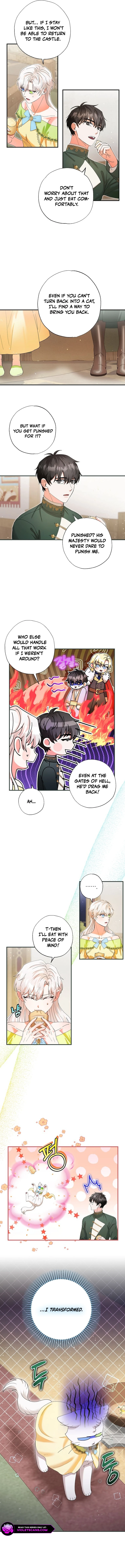 Chapter 31 - Image 7
