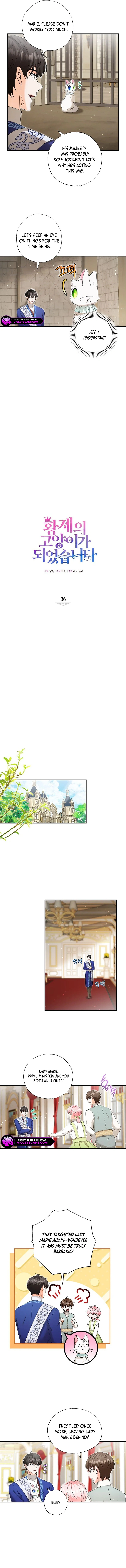 Chapter 36 - Image 2