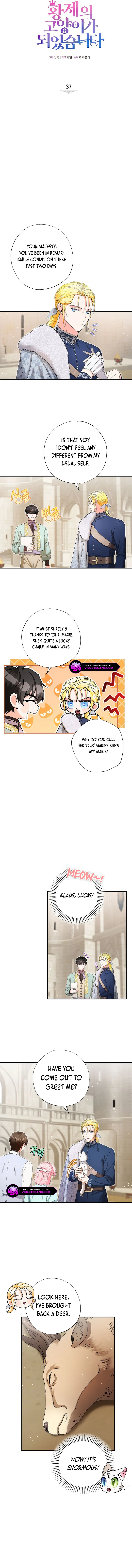 Chapter 37 - Image 2