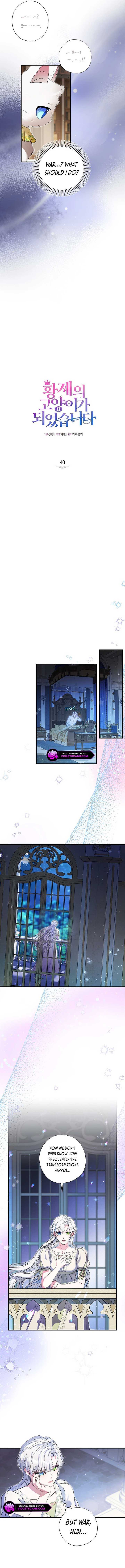 Chapter 40 - Image 5