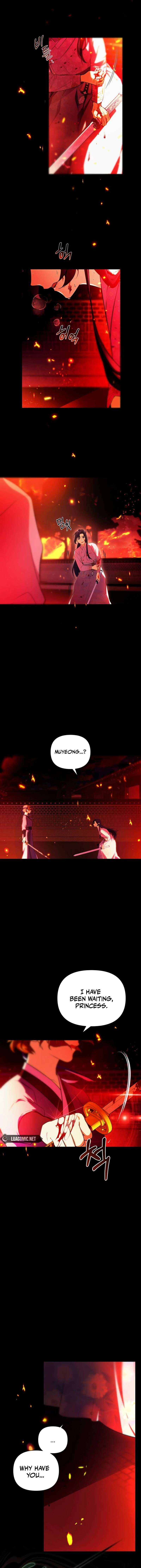 Chapter 1 - Image 5