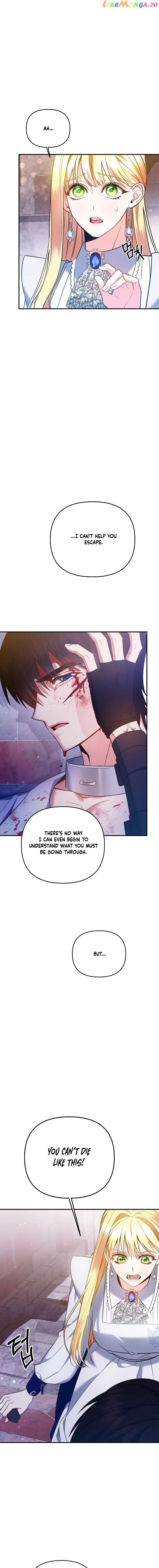 Chapter 5 - Image 4