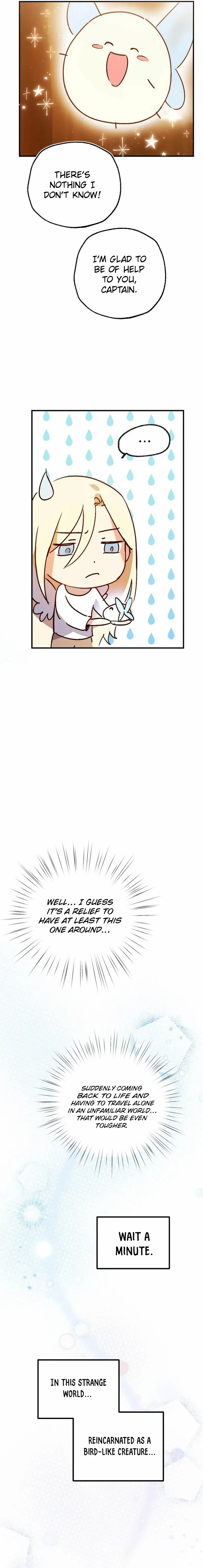 Chapter 1 - Image 21