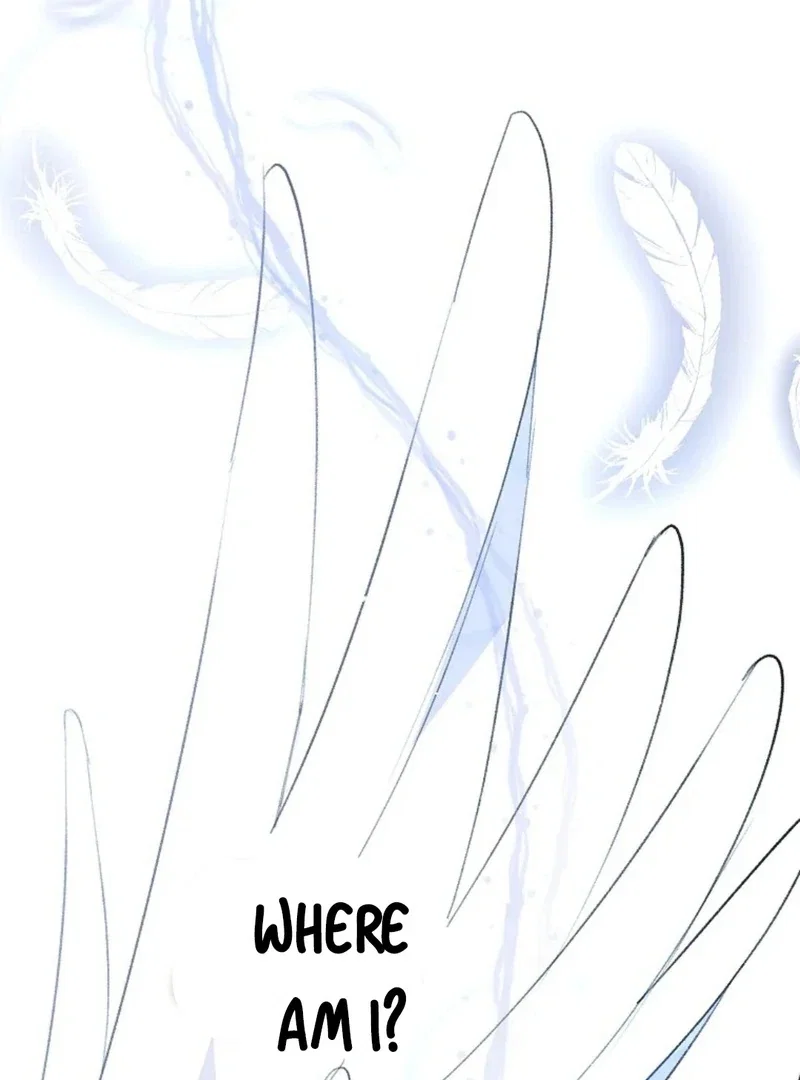 Chapter 11 - Image 7