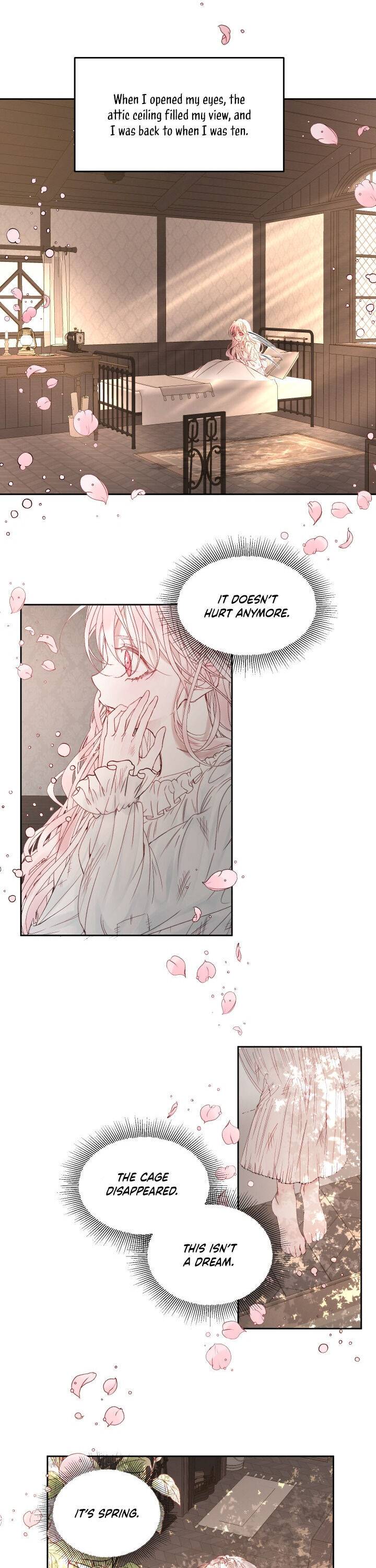 Chapter 2 - Image 22
