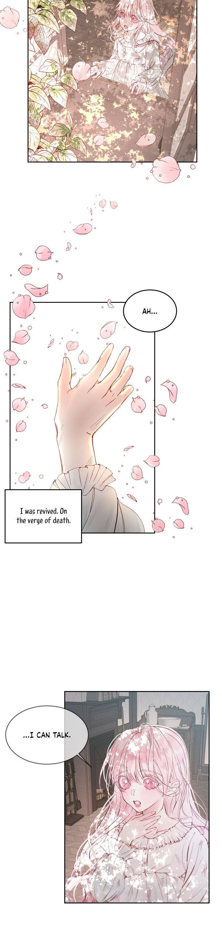 Chapter 2 - Image 23