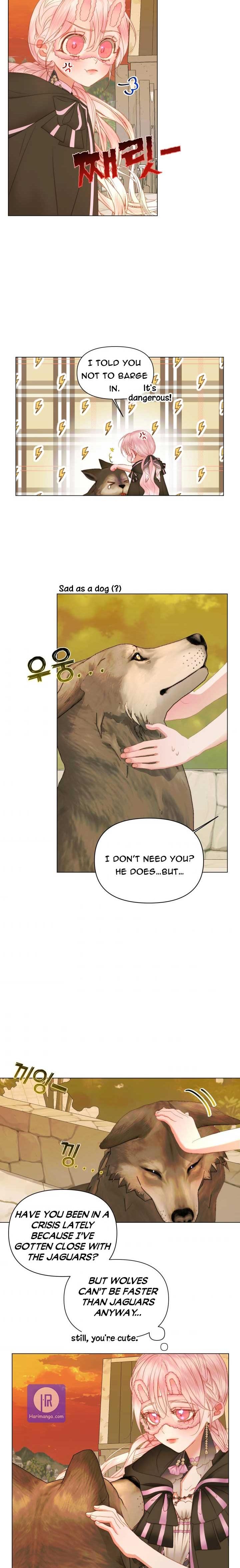 Chapter 24 - Image 11
