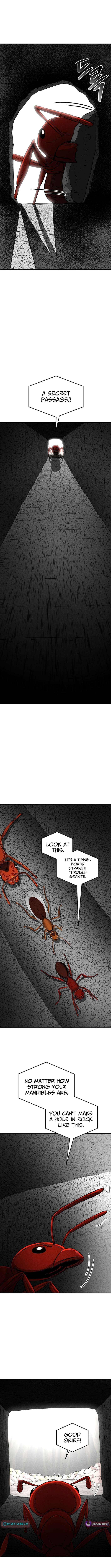 Chapter 25 - Image 7
