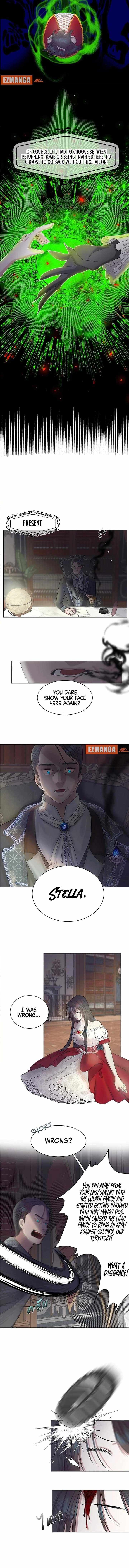 Chapter 1 - Image 5