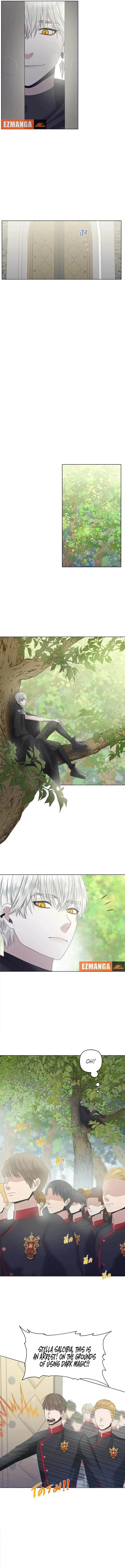 Chapter 9 - Image 5