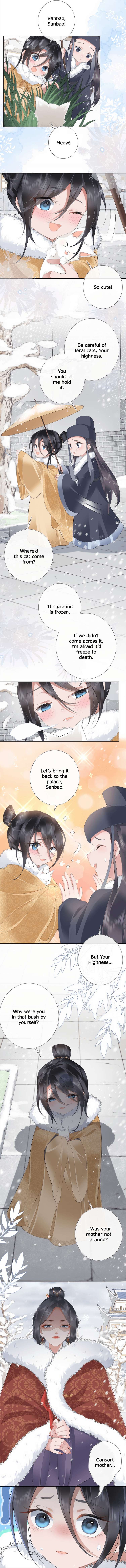 Chapter 16 - Image 6