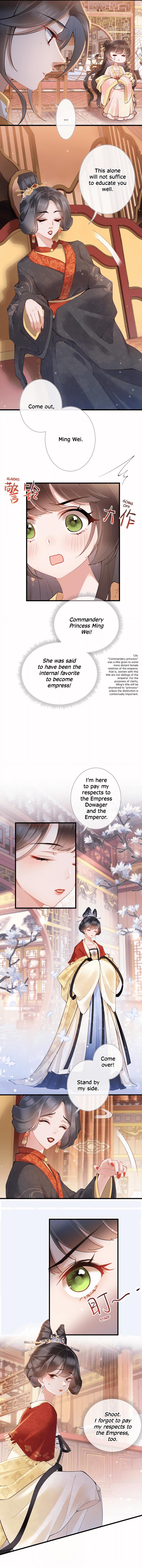 Chapter 3 - Image 6